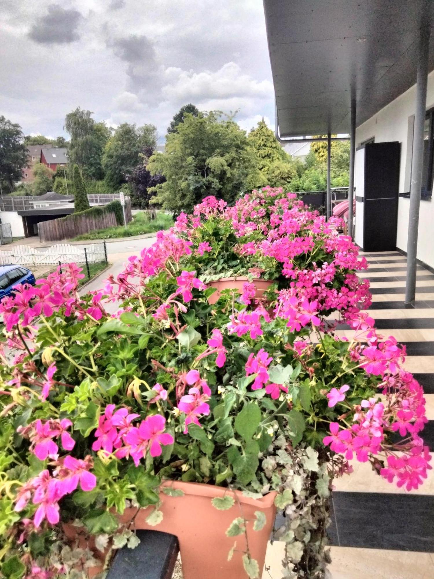 Komfort-Ferienwohnung Mit Ostseeblick ,Entspannung Flensburg Luaran gambar
